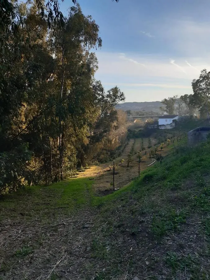Cortijo El Puente Konuk evi Viñuela